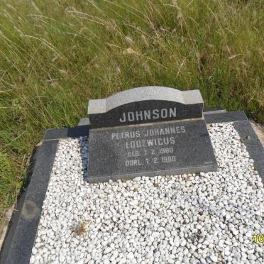 JOHNSON Petrus Johannes Lodewicus 1980-1980