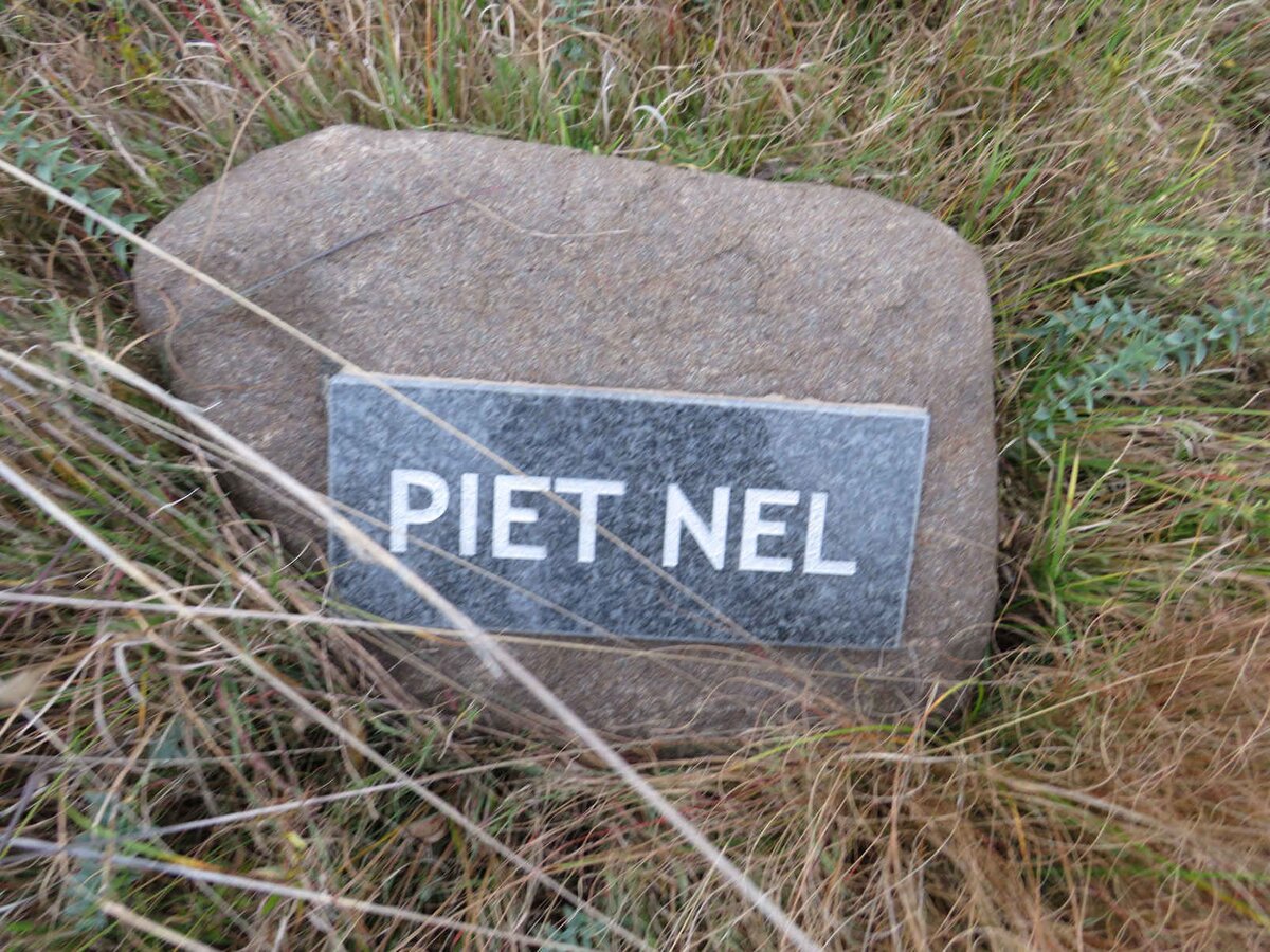 NEL Piet