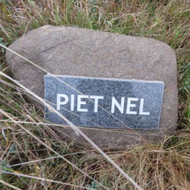 NEL Piet