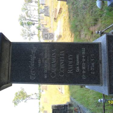 RADLEY Catharina Cornelia nee HARMSE 1873-1953