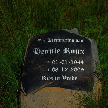 ROUX Hennie 1944-2009
