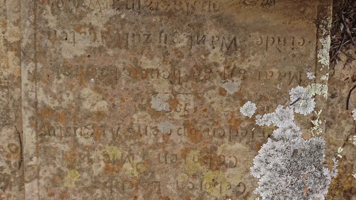 KOTZEE Maria Helena nee LUBBE 1854-1897