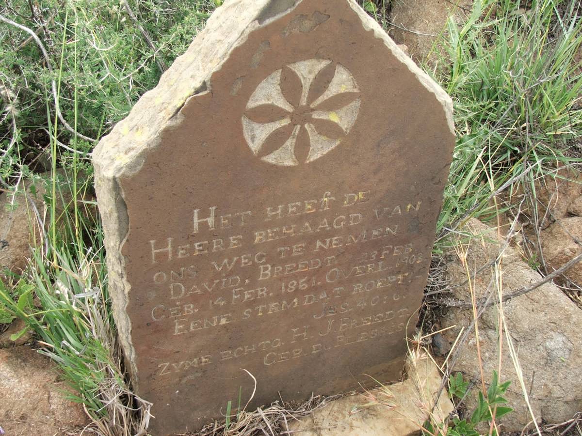 BREEDT David 1851-1903