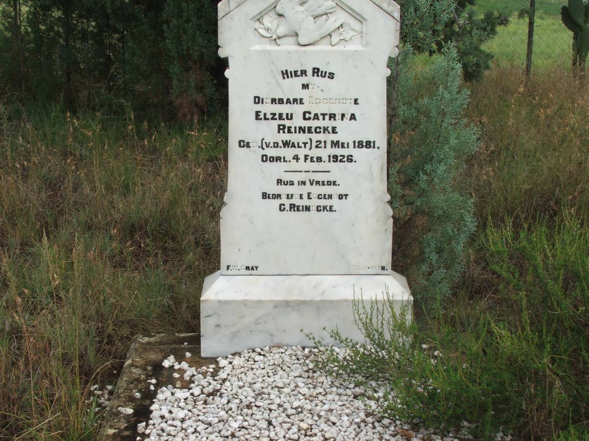 REINECKE Elzeu Catrina nee V.D. WALT 1881-1926