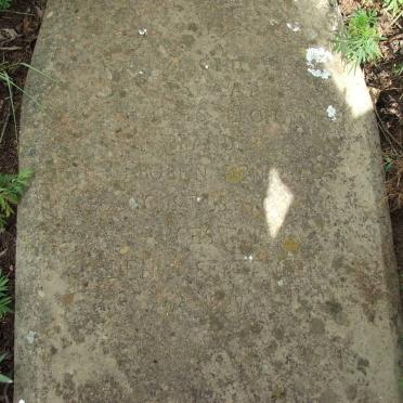 BRANDERS Carl Leopold -1905