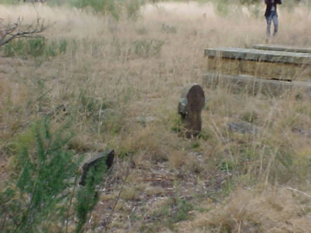 2. Oorsig / Overview