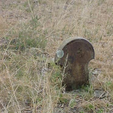 ? Elzie Sophia Elizabeth nee VAN TONDER 1857-1907