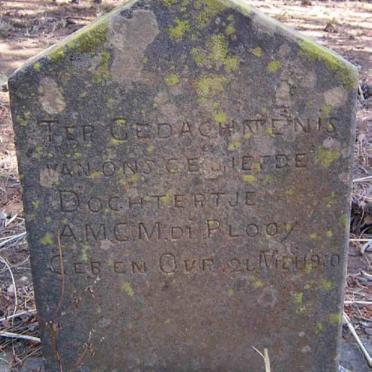 PLOOY A.M.C.M., du 1910-1910