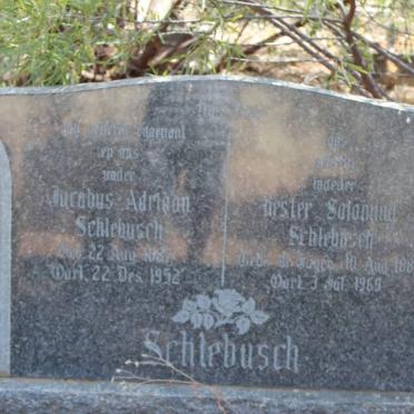 SCHLEBUSCH Jacobus Adriaan 1887-1952 &amp; Hester Salomina 1889-1969