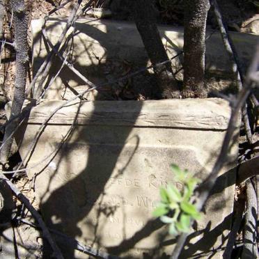 WALT E., van der -1944