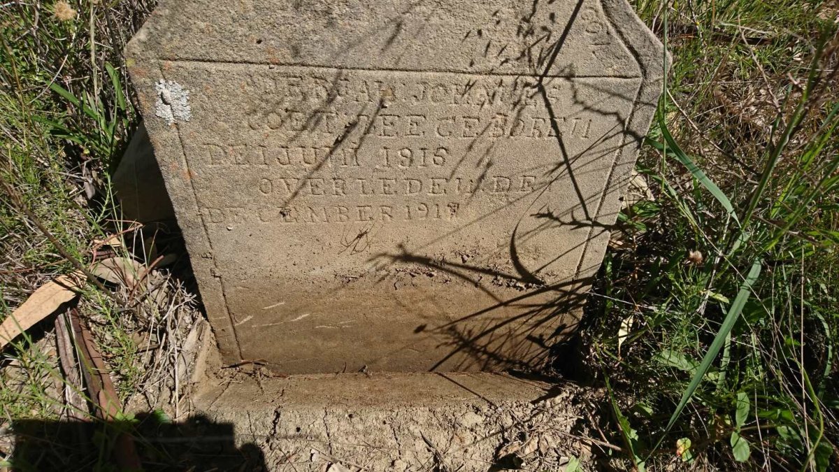 COETZEE ? Johannes 1915-1917