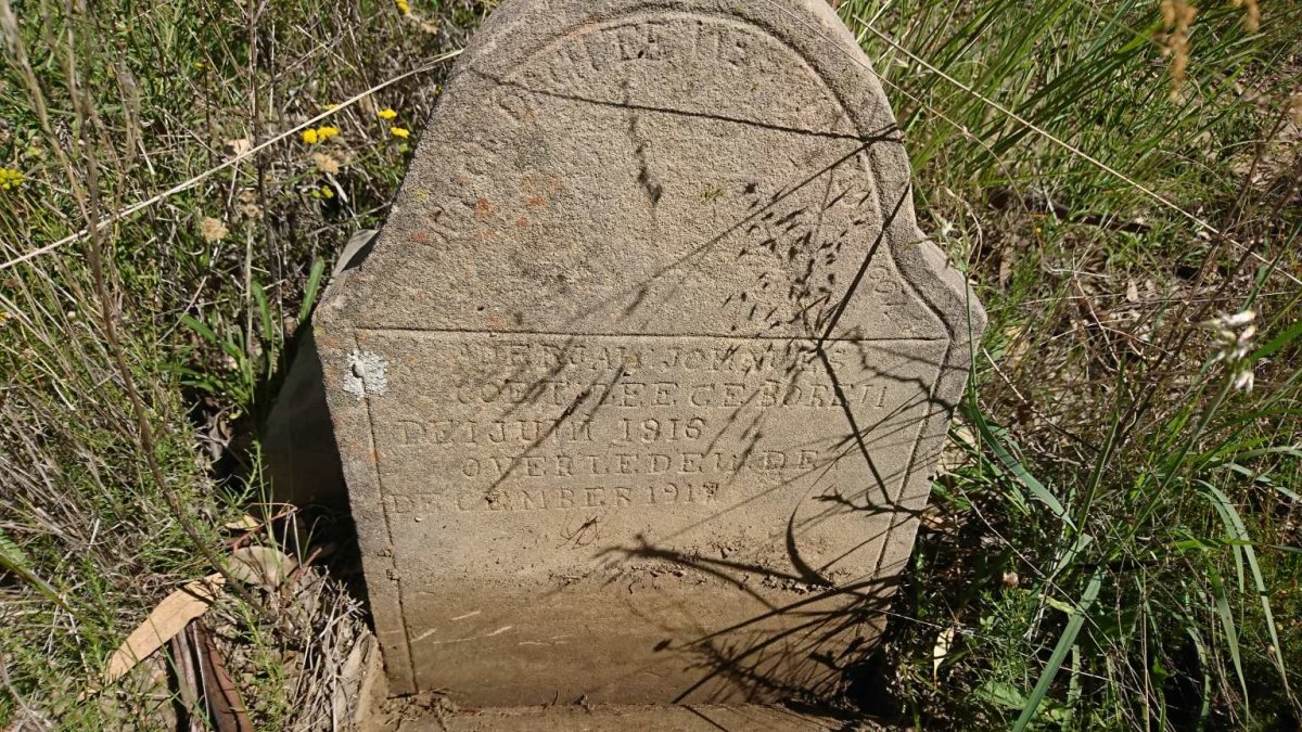 COETZEE ? Johannes 1915-1917