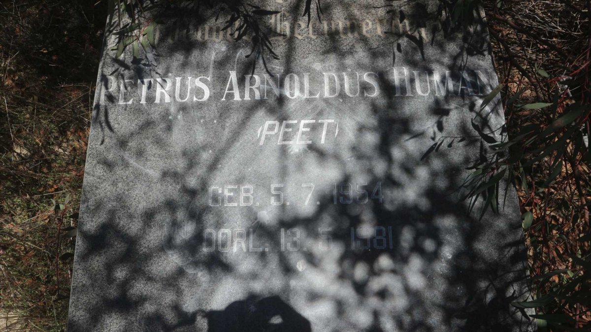 HUMAN Petrus Arnoldus 1954-1981