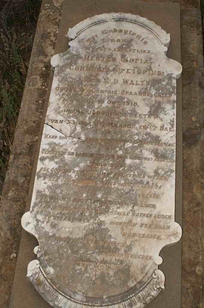 PRETORIUS Hester Sofia Cornelia nee V.D. WALT -1918
