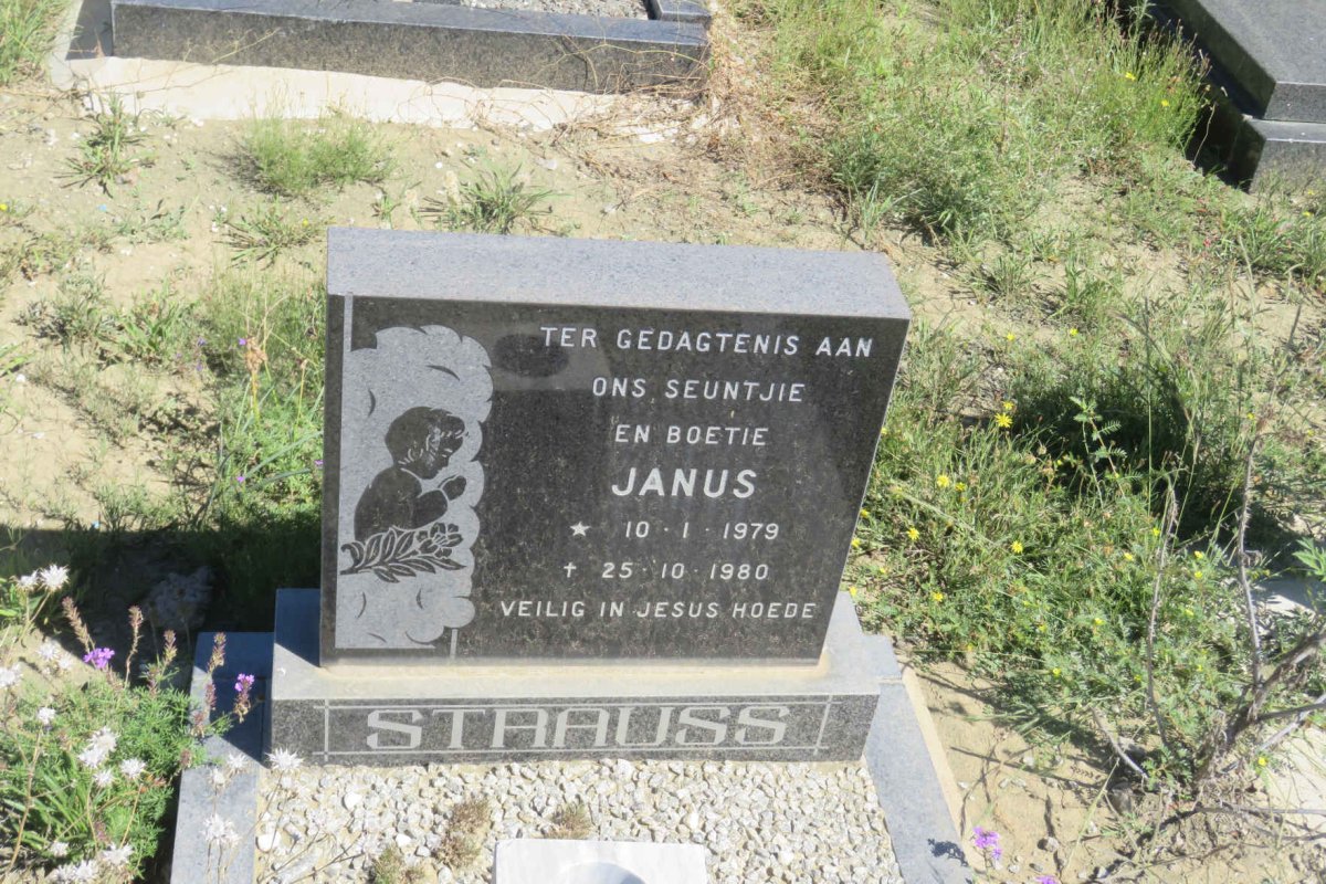 STRAUSS Janus 1979-1980