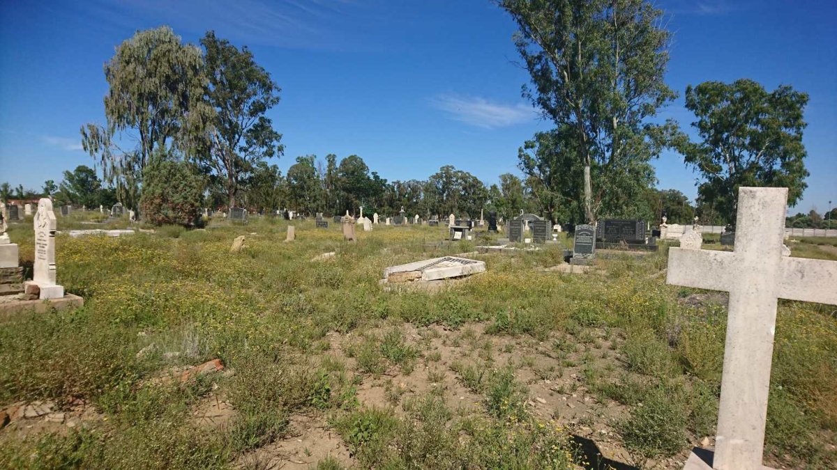 3. Overview / Oorsig