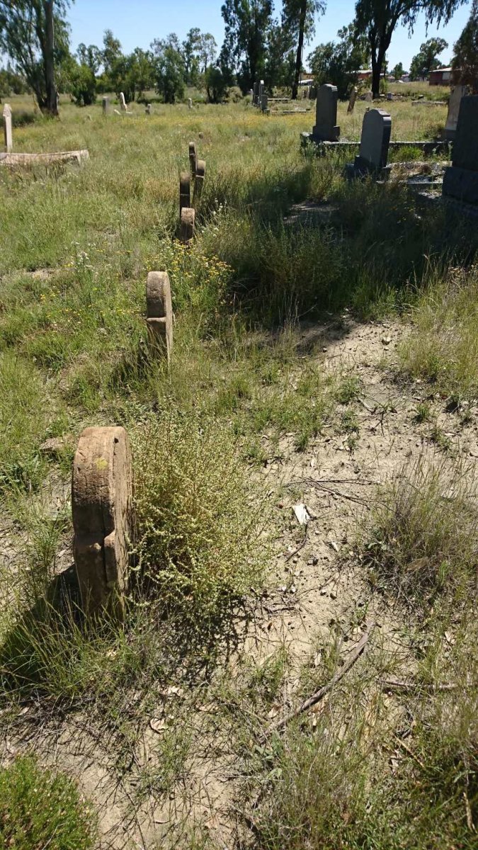 4. Overview / Oorsig