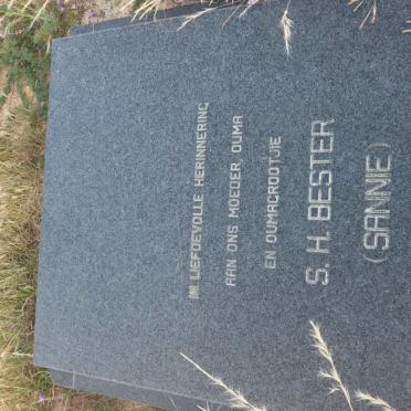 BESTER S.H. 1911-1999