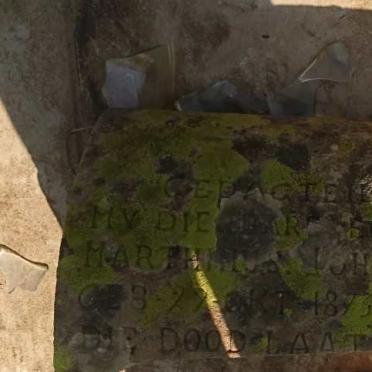 PLESSIS Marthinus Johannes, du 1873-1937