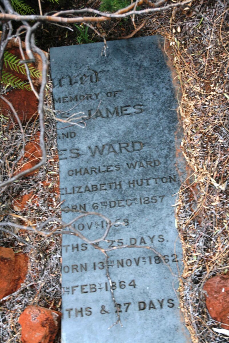 HUTTON Charles James 1857-1858 :: HUTTON Charles Ward 1862-1864 _2