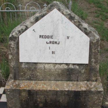 CRONJE Freddie -1913 :: CRONJE Gavin -1913