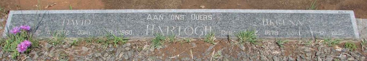 HARTOGH David 1878-1960 &amp; Hel... 1879-195?