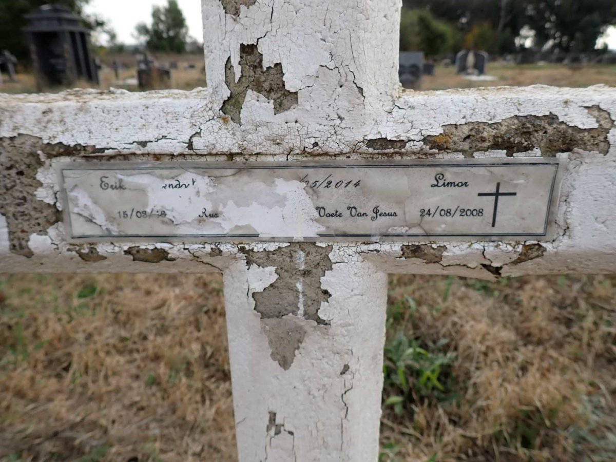 ? Erik 2014 :: ? Limor -2008