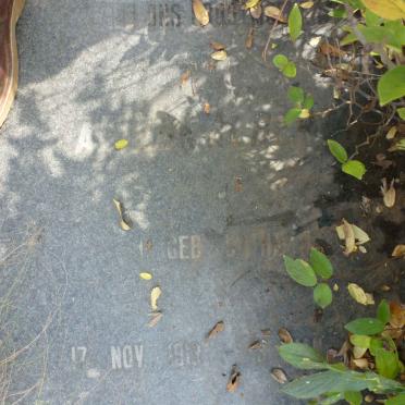 ALBERTS Alida nee BOTHA 1919-