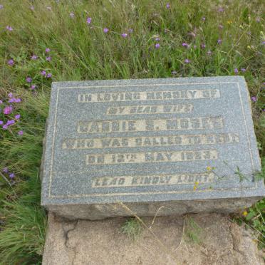 MOSES Carrie S. -1923