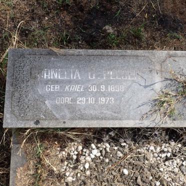 PELSER Cornelia C. nee KRIEL 1898-1973