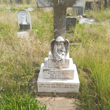 WRIGHT Raymond -1917