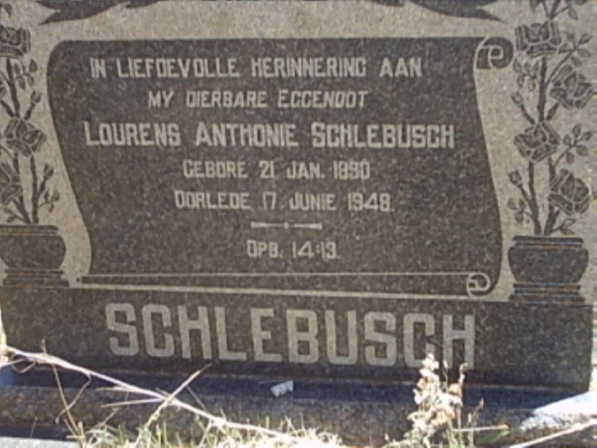 SCHLEBUSCH Lourens Anthonie 1890-1948