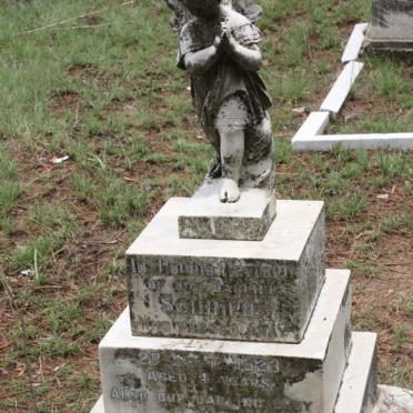 ? Schimpie -1923 :: ? Louie -1922