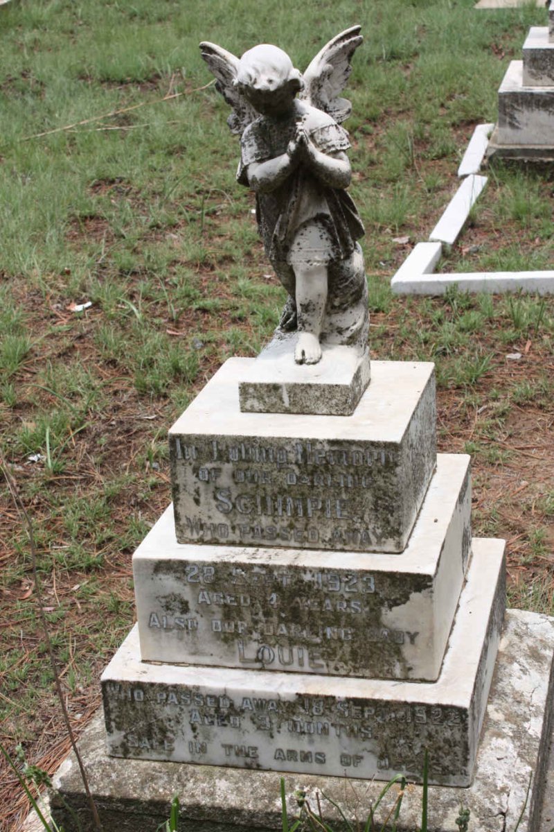 ? Schimpie -1923 :: ? Louie -1922