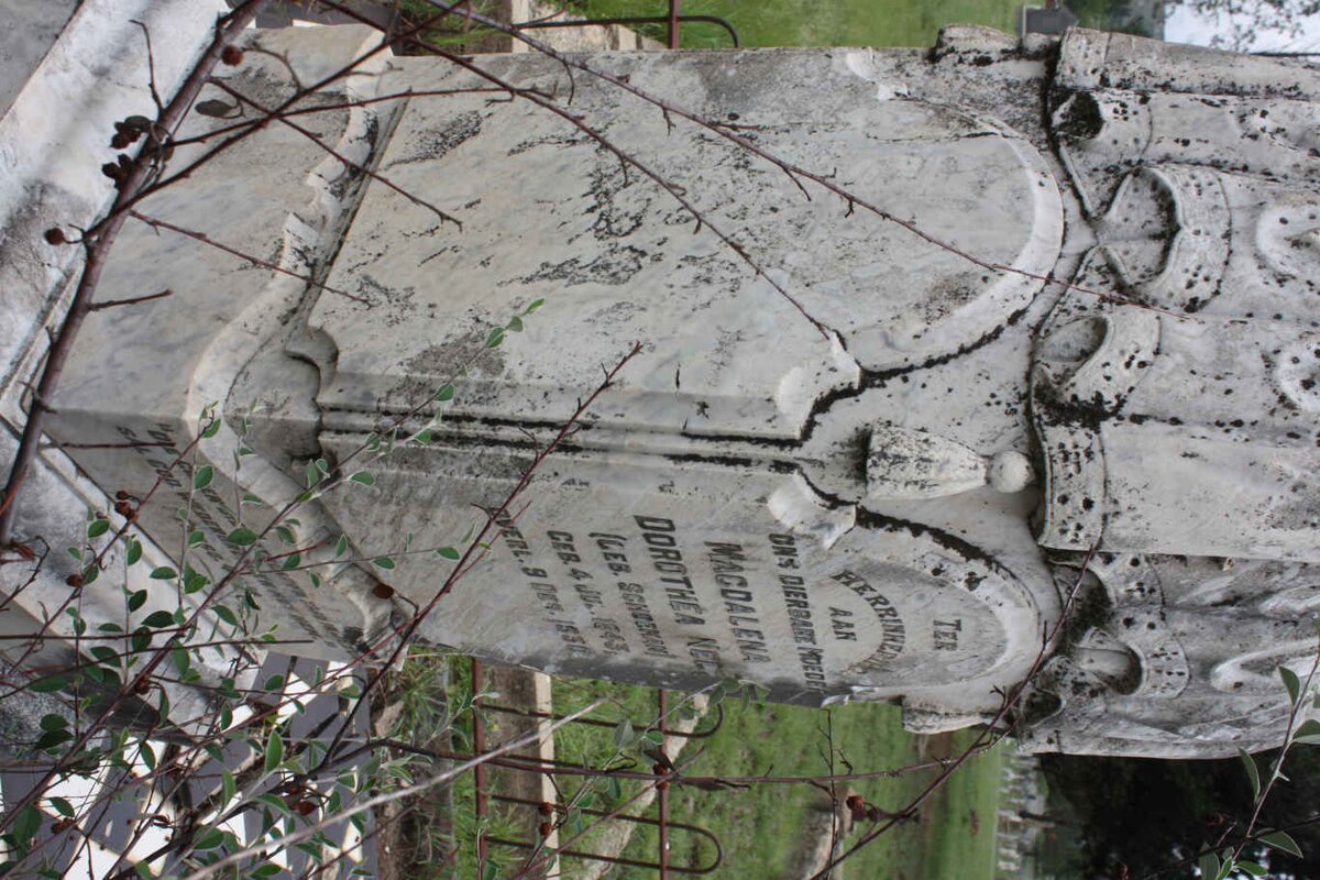 NEL Magdalena Dorothea nee SCHOEMAN 1843-19?0