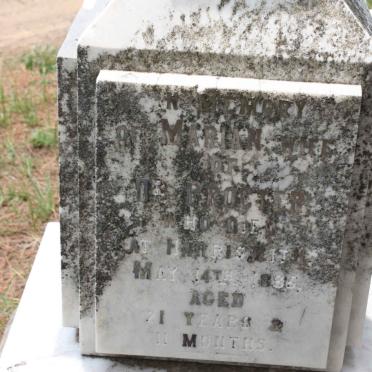 PROCTER Marian -1885