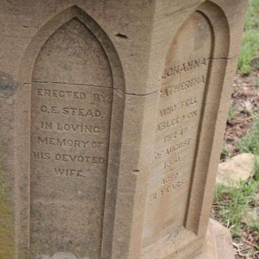 STEAD Johanna Catherina -1880