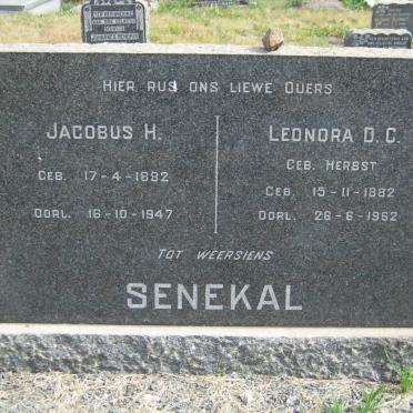 SENEKAL Jacobus H. 1882-1947 &amp; Leonora D.C. HERBST 1882-1962