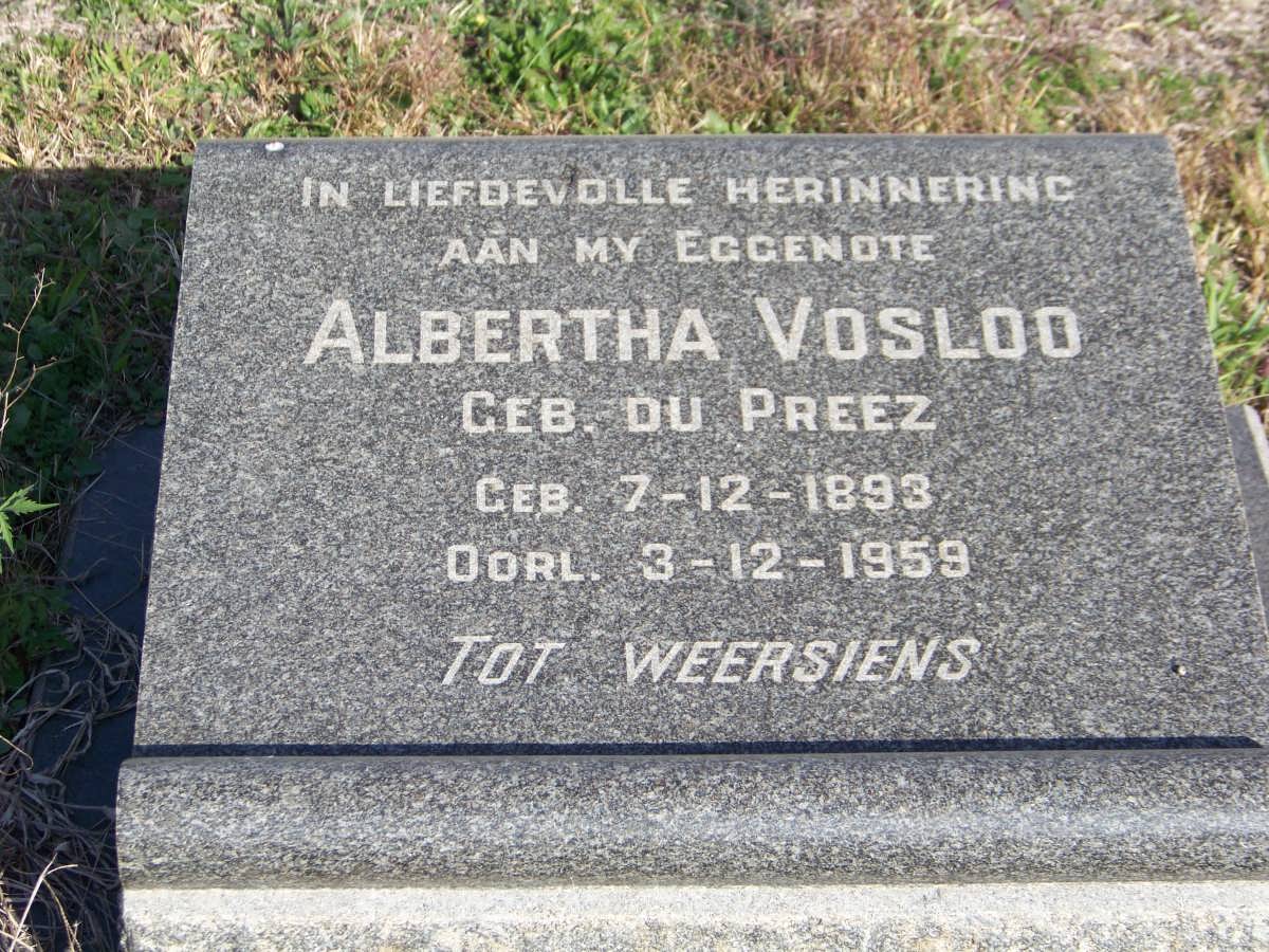 VOSLOO Albertha nee DU PREEZ 1893-1959