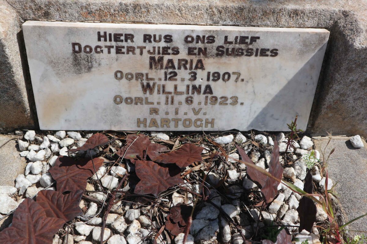 HARTOGH Maria -1907 :: HARTOGH Willina -1923