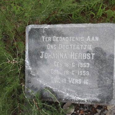 HERBST Johanna 1953-1953