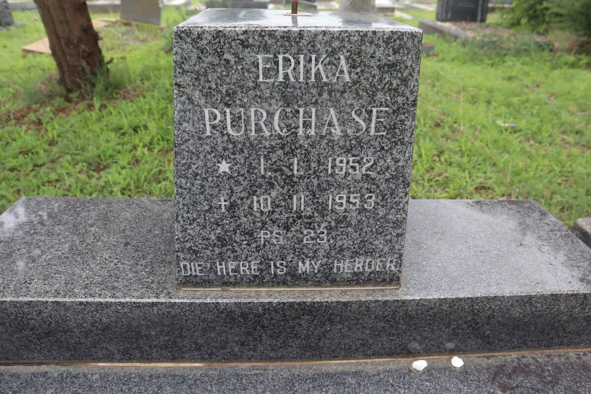 PURCHASE Erika 1952-1953