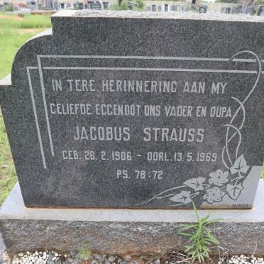 STRAUSS Jacobus 1906-1969
