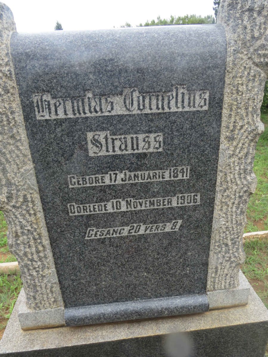 STRAUSS Hermias Cornelius 1841-1906