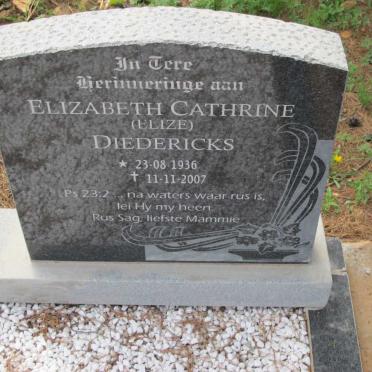 DIEDERICKS Elizabeth Cathrine 1936-2007