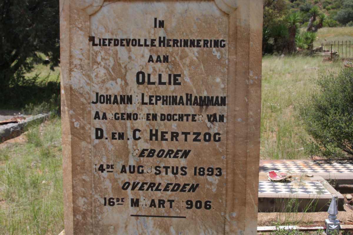 HAMMAN Johanna Lephina 1893-1906