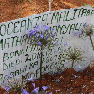 MALITABA Oceania 19??-2010