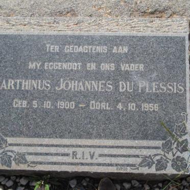 PLESSIS Marthinus Johannes, du 1900-1956