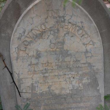 GODWIN George Glendower 1911-1911