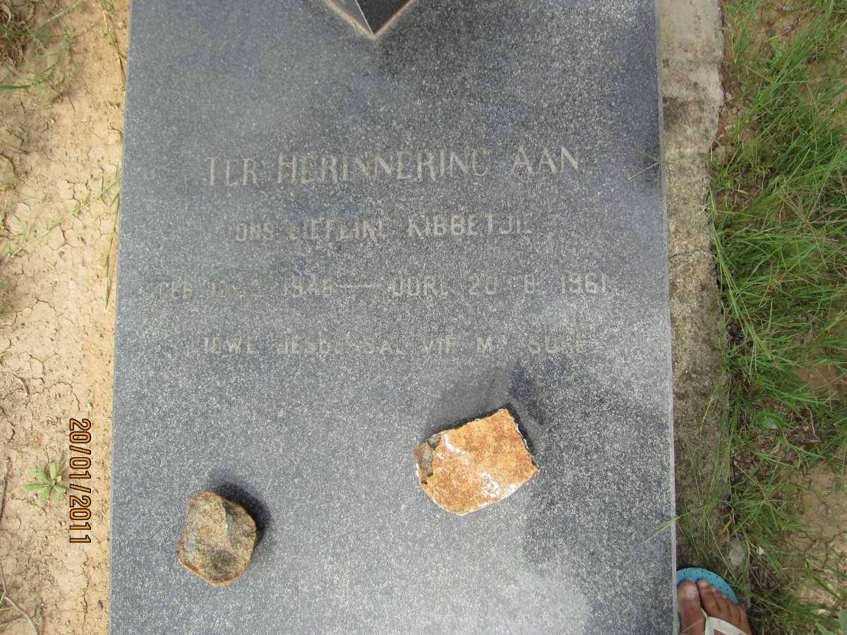 JACOBS André 1946-1961